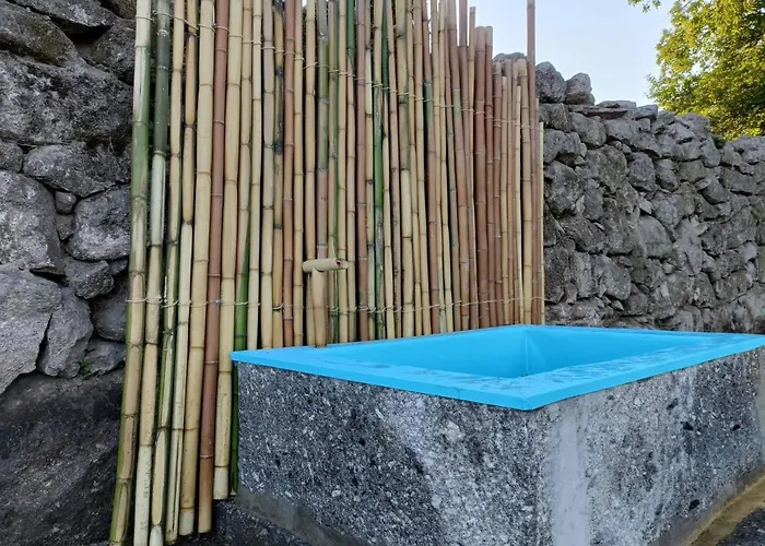 Andreihouse 펜션 *